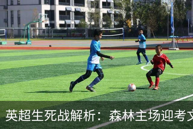 英超生死战解析：森林主场迎考文垂，积分差距下的战术博弈